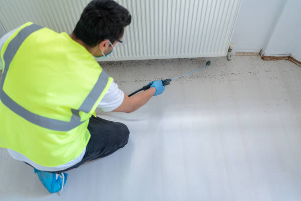 Best Pest Exclusion Services  in Murphys, CA